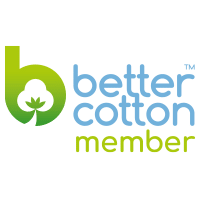 BCI Standard